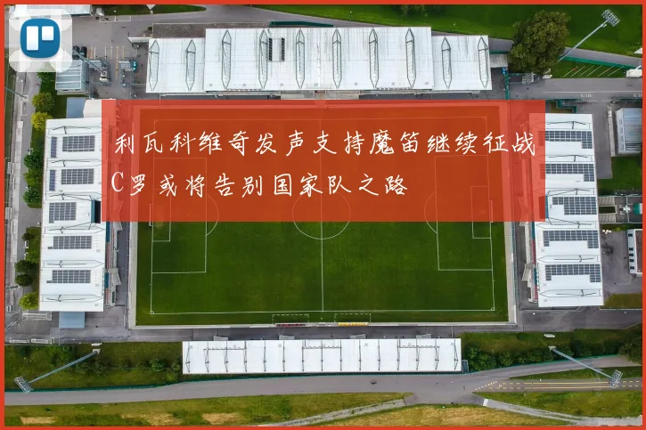利瓦科维奇发声支持魔笛继续征战C罗或将告别国家队之路