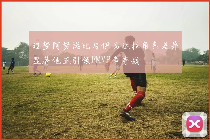 追梦阿努诺比与伊戈达拉角色差异显著他正引领FMVP争夺战